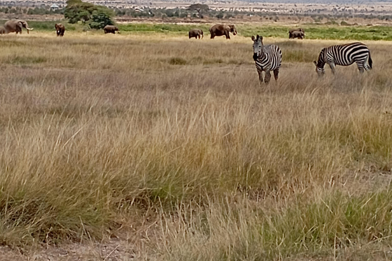 From Nairobi: Lake Nakuru & Naivasha National Park Day Tour Lake Nakuru & Naivasha