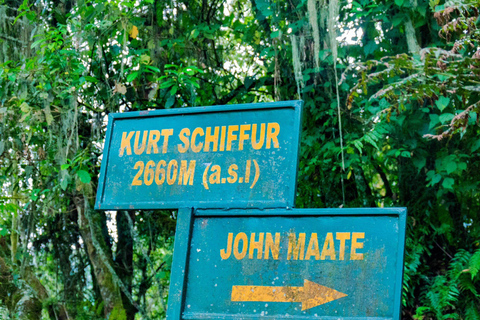 4 Days Queen Elizabeth Park Safari & Ruwenzori Mountain View