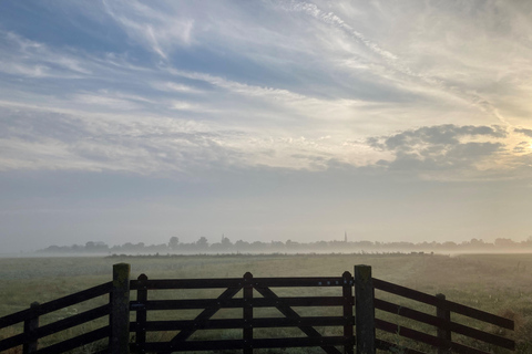 Rotterdam: corazón verde Midden-Delfland: Tour en barco de lujo