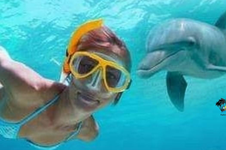 Zanzíbar: Excursión al atolón de Mnemba y experiencia de snorkel con delfines