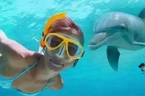 Zanzíbar: Delfines de Mnemba y Crucero en Dhow al Atardecer con Almuerzo