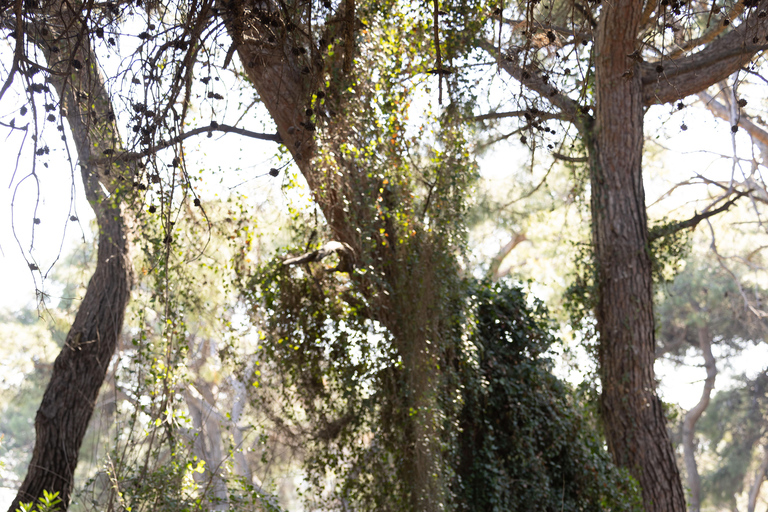 Antalya Horseback Riding Adventure Through Scenic Trails