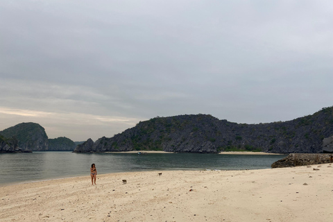 Cat Ba : tour en bateau de Lan Ha en kayak pour observer le plancton bioluminescent