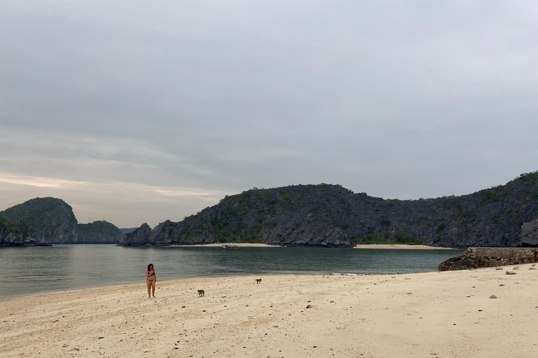 Cat Ba : tour en bateau de Lan Ha en kayak pour observer le plancton bioluminescent
