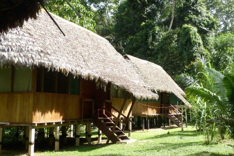 Manu Jungle Tour 5 Días