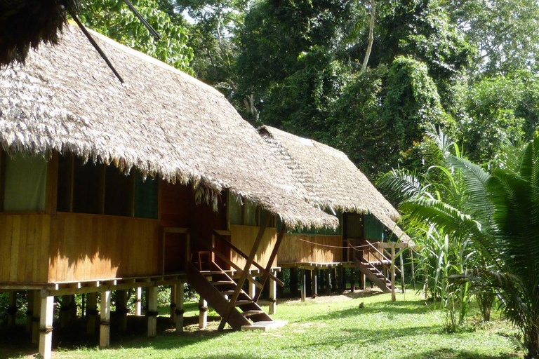 Manu Jungle Tour 5 Días