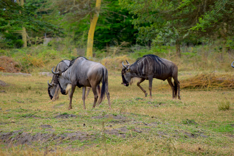 Mto wa Mbu: Waterfall, Maasai Boma, Village, & Balaa Hill Mto wa Mbu Tour & Canoe Ride on Lake Manyara