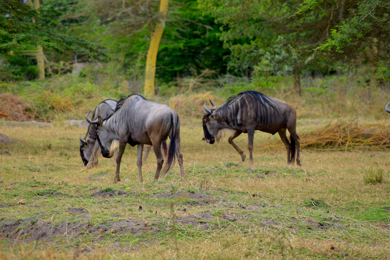 Mto wa Mbu: Waterfall, Maasai Boma, Village, & Balaa Hill Mto wa Mbu Tour & Canoe Ride on Lake Manyara