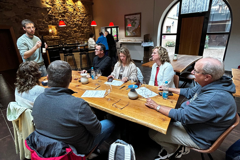 Alsace: Private Wine Tour with Tastings and Transfers Half Day Tour