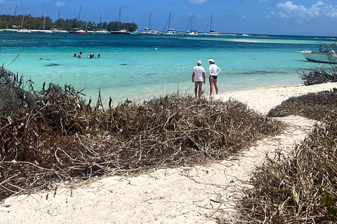 Blue Bay: Tauchkurs für Einsteiger