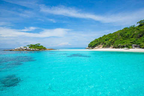 Phuket Dolfijn Zoektocht: Expeditie naar Racha &amp; Maiton eiland