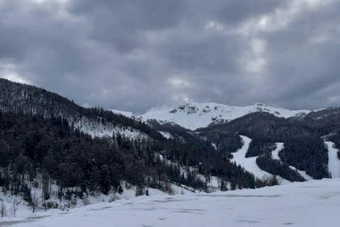 Bjelasica dla smakoszy i miłośników przyrody: lunch w cenie