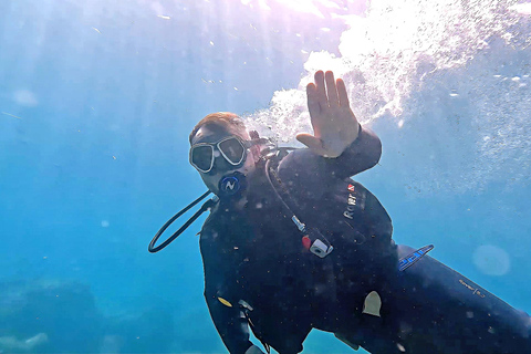 Aucune expérience requise - Découvrez la plongée avec prise en chargeAucune expérience requise - Découvrez la plongée sous-marine avec prise en charge