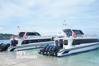 Bali Sanur, hacia o desde Nusa Lembongan por transferencia de botes rápidos - Housity