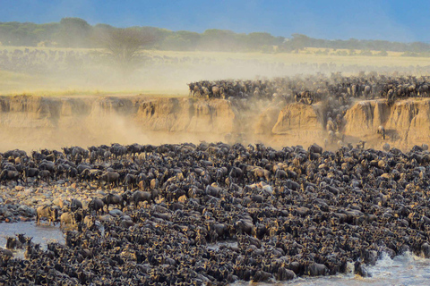 Masai Mara: safari di 4 giorni per la grande migrazione degli gnu