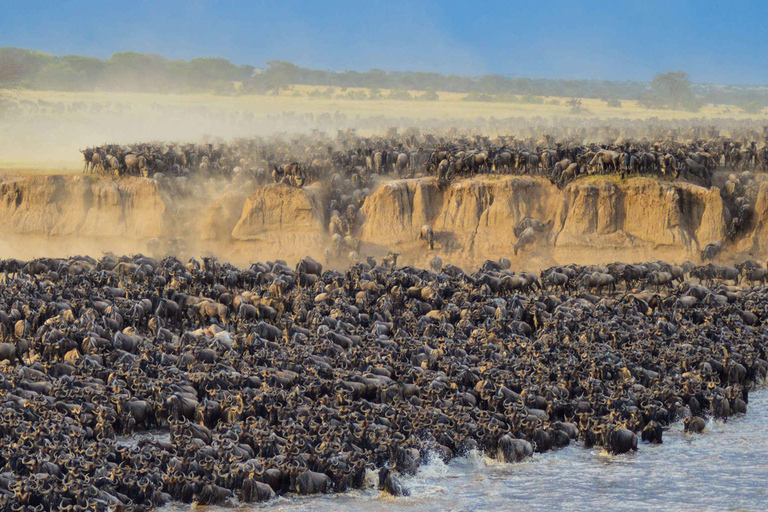 Masai Mara: safari di 4 giorni per la grande migrazione degli gnu