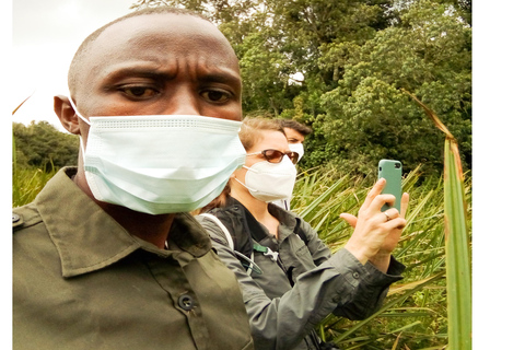 Von Kigali aus: Kauzi-Biega National Park Gorilla Trekking Tour