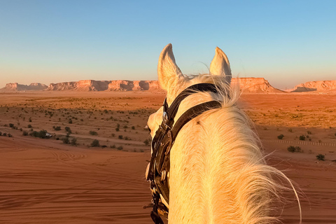 Horse Riding in Riyadh