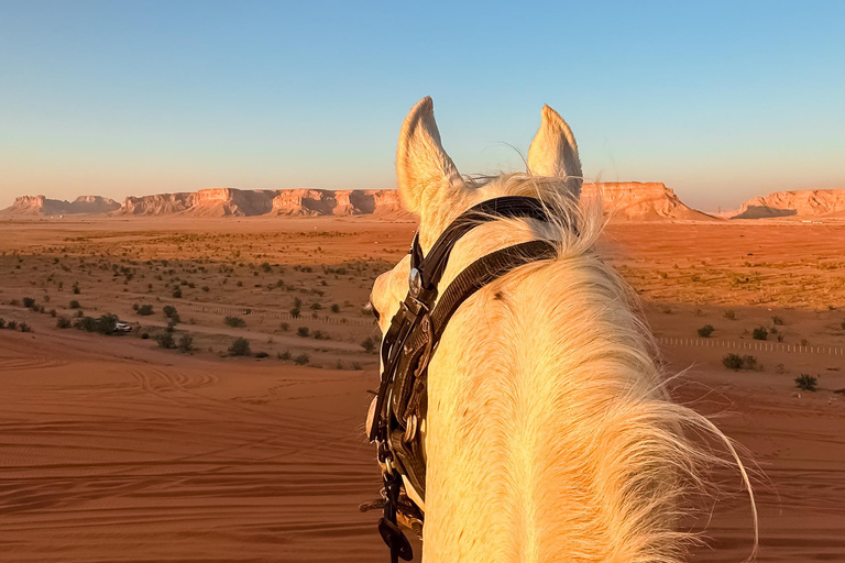 Horse Riding in Riyadh