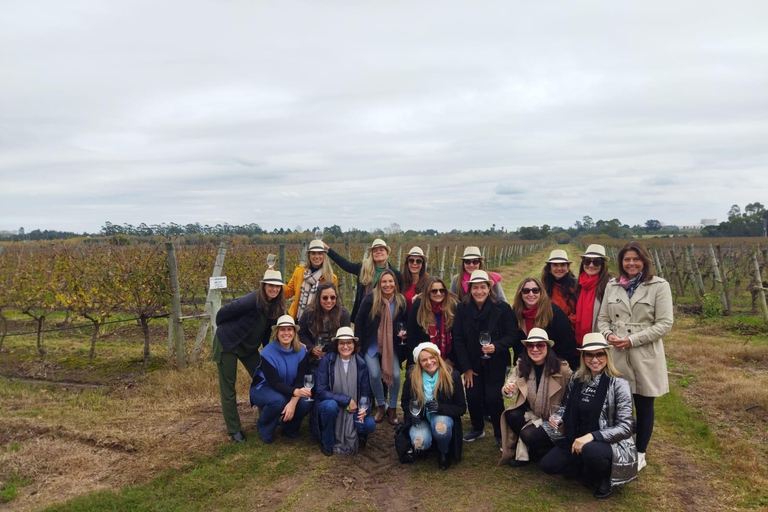 Visit to a traditional and award-winning winery in Montevideo