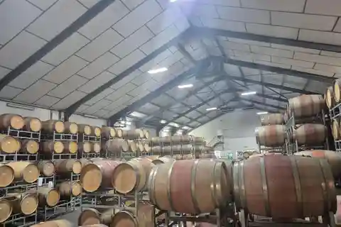 Vineyard Tour: Wine tasting, cheese and walking in Franschhoek