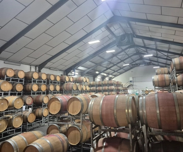 Vineyard Tour: Wine tasting, cheese and walking in Franschhoek