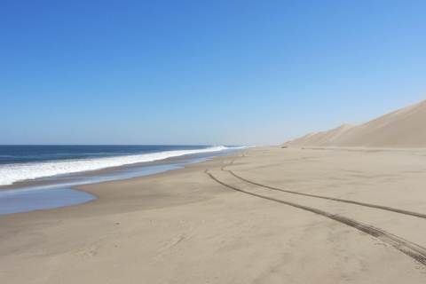 Dkphin &amp; Seal guidad kryssning Sandwich Harbour dune tour