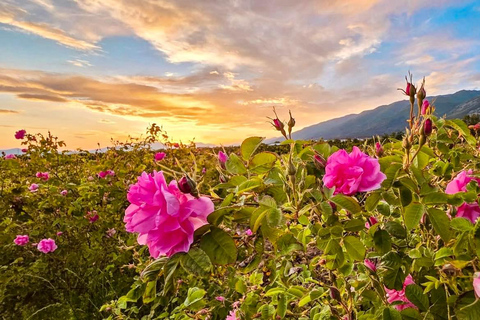 From Sofia: Exclusive Event - The Rose Festival in Kazanlak