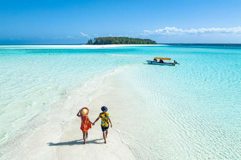 Zanzibar: Dolphin Swim & Snorkeling Guided Tour