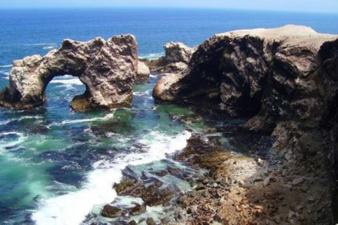 San Fernando Bay and Sandboarding in Nazca.