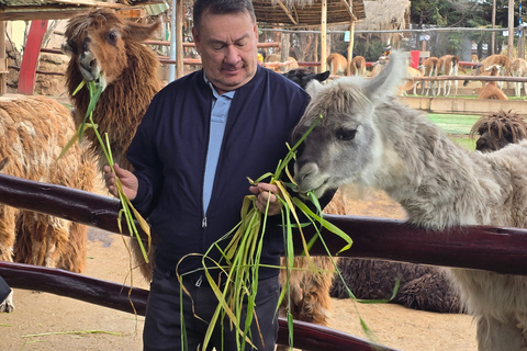Cusco: Private Inca Ruins & Alpaca Sanctuary Tour