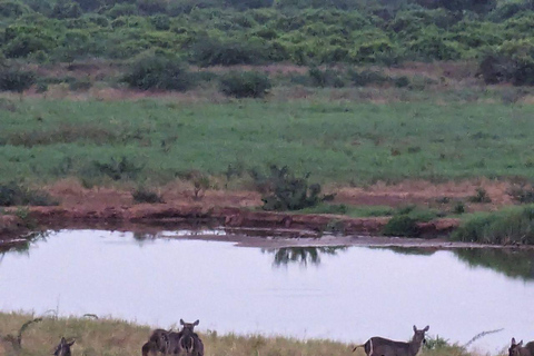 Mombasa/Diani: 2-Day Tsavo East Safari with Meals Private day tour to Tsavo East National Park - VAN