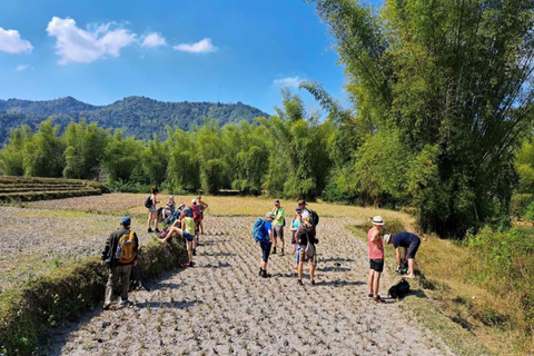 Von Ha Noi aus: 3-tägige Cao Bang Loop Tour Besuch eines lokalen Dorfes