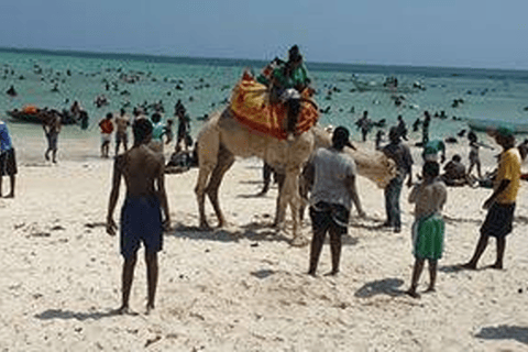 Nairobi: Tsavo East, Tsavo West, and Diani Beach Safari