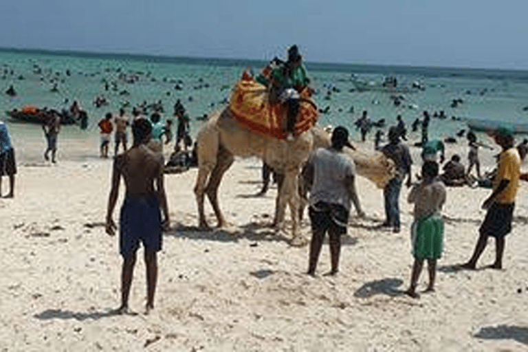 Nairobi: Tsavo East, Tsavo West, and Diani Beach Safari