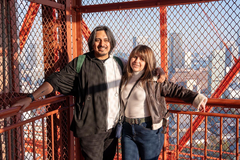 Tokyo: 1-dagars höjdpunkter med privat bil och guide