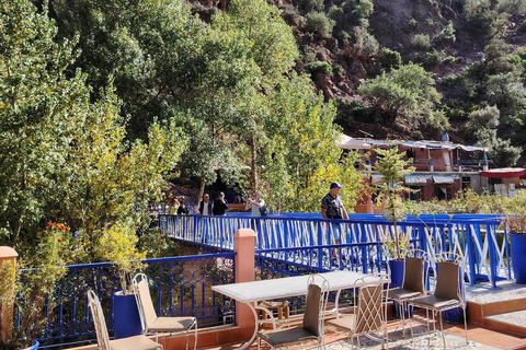 Marrakech: Ourika Valley,Waterfalls, Atlas & Guide & Lunch Marrakech: Ourika Valley,Waterfalls ,Atlas Mountains