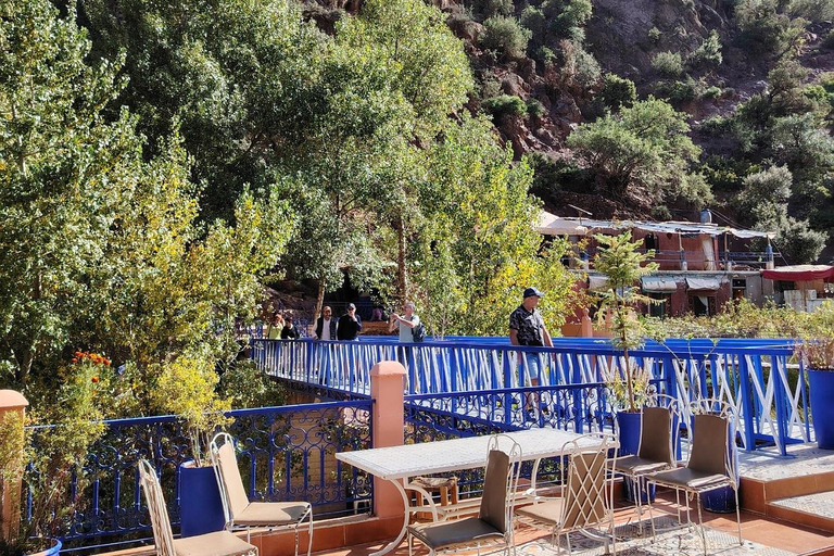 Marrakech: Ourika Valley,Waterfalls, Atlas & Guide & Lunch Marrakech: Ourika Valley,Waterfalls ,Atlas Mountains