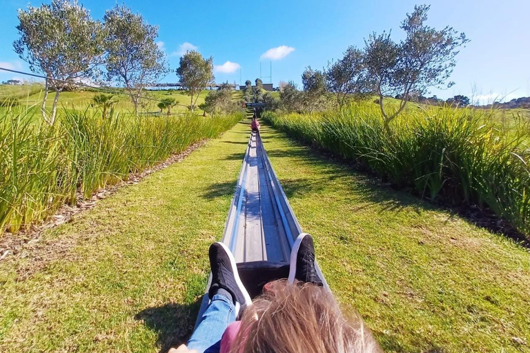 Kaapstad: Cool Running/Toboggan Adventure en ophaalservice vanaf je hotelKaapstad: Cool Running/Toboggan-avontuur en ophaalservice vanaf je hotel