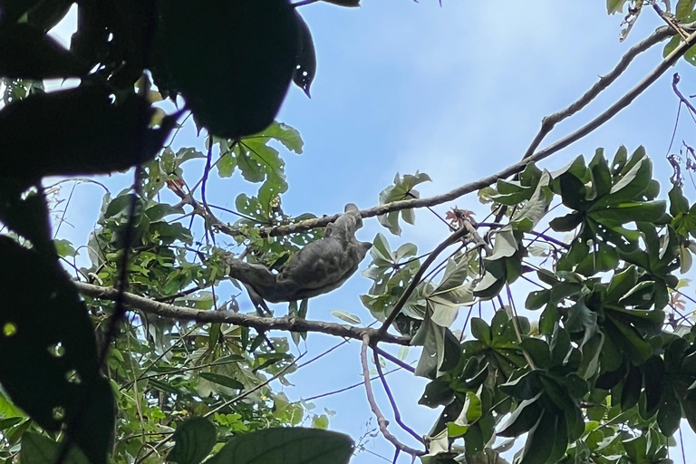 Parco Tayrona 2 giorni e 1 notte. Un percorso ancestrale.