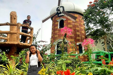 Cebu: Cultural Gems Guided Tour with 10,000 Roses