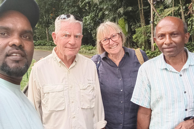 Kandy: Tuk Tuk City Tour with Local Driver