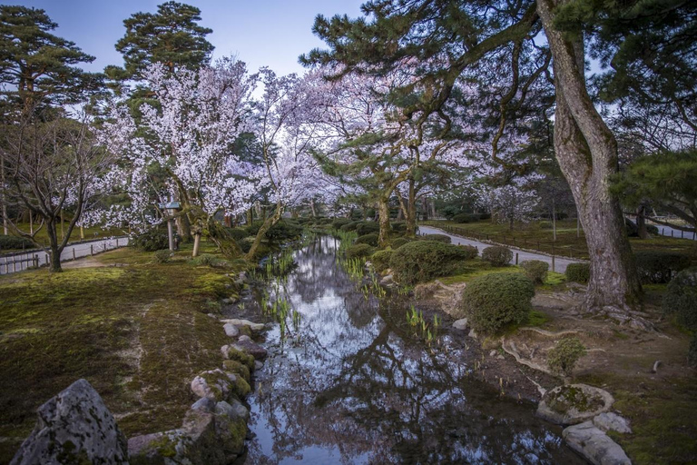 4-Day Cultural Tour from Tokyo to Kanazawa & Fukui 4-Day from Tokyo to Kanazawa & Fukui（No tour guide）