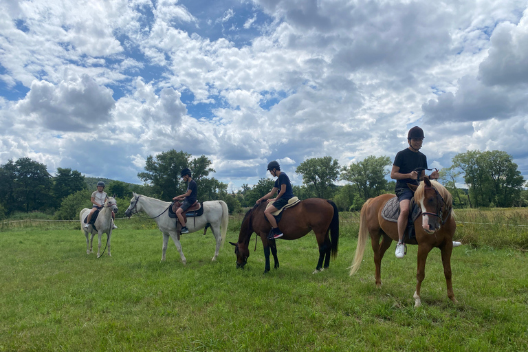 جولة لركوب الخيل بالقرب من براغجولة ركوب الخيل بالقرب من براغ