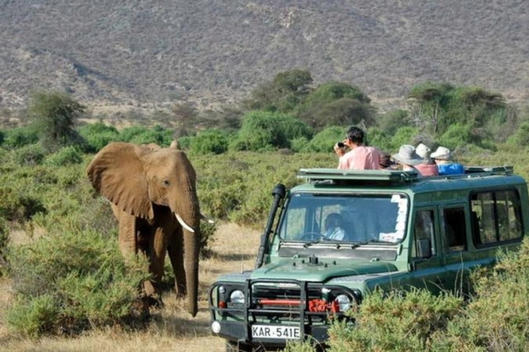 Quênia: 6 dias de Amboseli, Tsavo Oeste e Leste