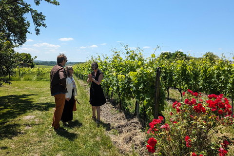 Privé rondleiding Dag in het hart van de Cognac wijngaarden