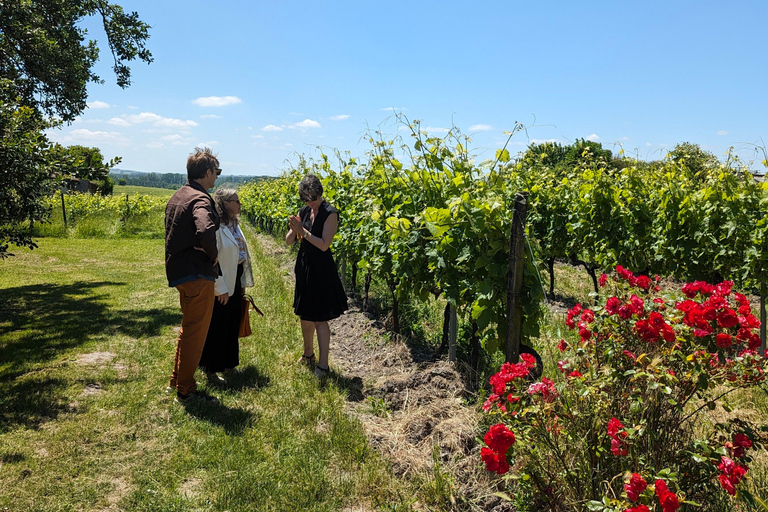 Privé rondleiding Dag in het hart van de Cognac wijngaarden