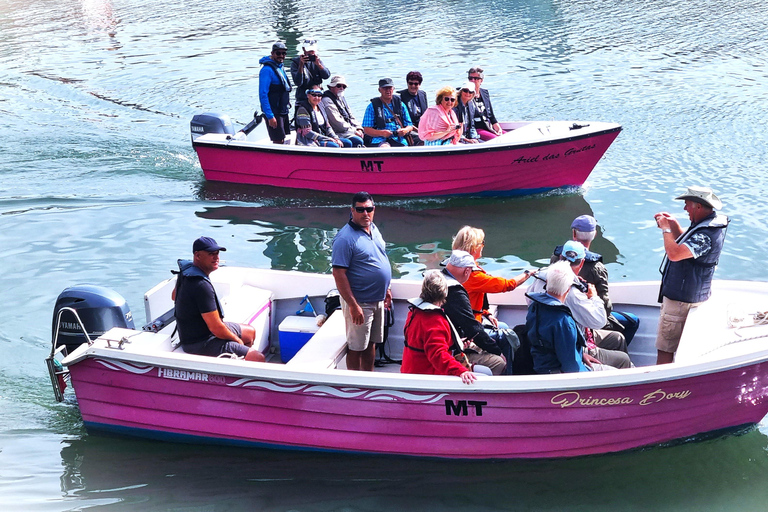 Lagos-Algarve: Grotto Trip - Boat Trip Late afternoon