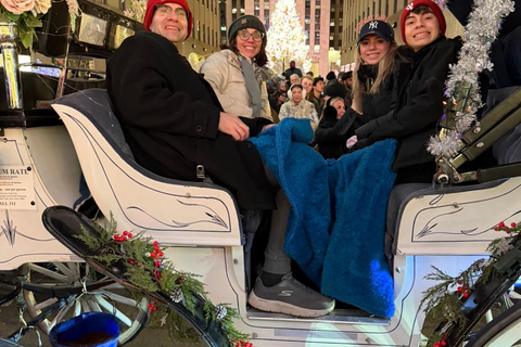 NYC: Central Park Christmas Lights Horse-Drawn Carriage Ride