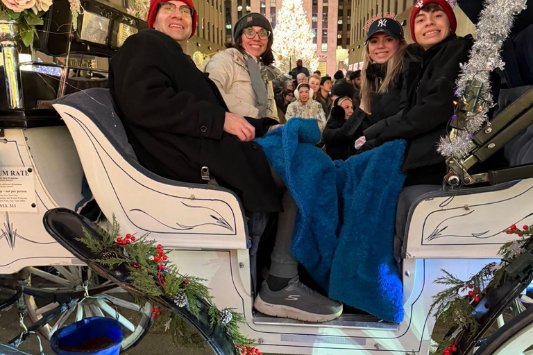 NYC: Central Park Christmas Lights Horse-Drawn Carriage Ride